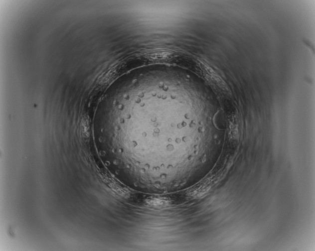 X0000097490561200802291435