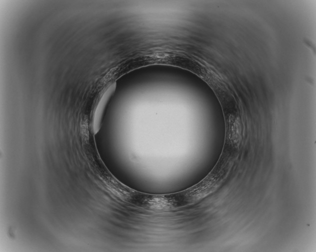 X0000097490562200802291435