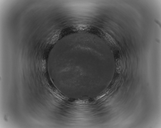 X0000097490563200802291435