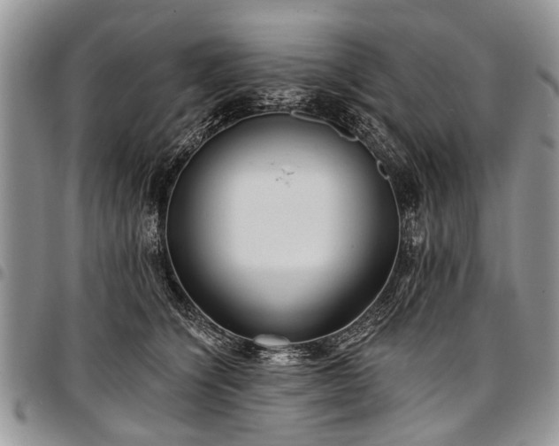 X0000097490564200802291435