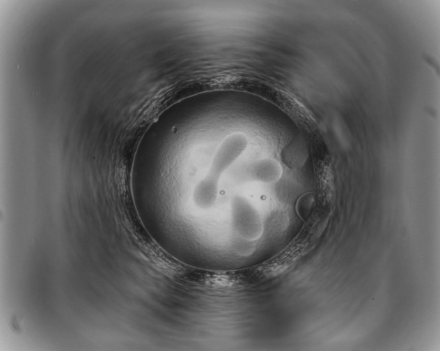 X0000097490565200802291435