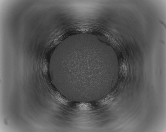 X0000097490566200802291435