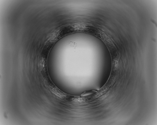 X0000097490567200802291435