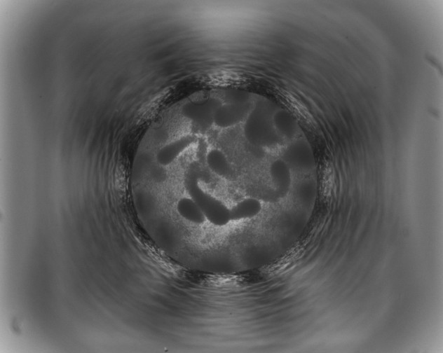 X0000097490569200802291435