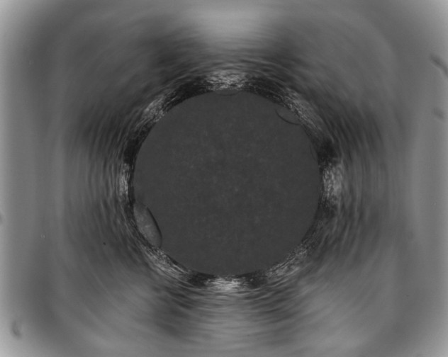 X0000097490570200802291435