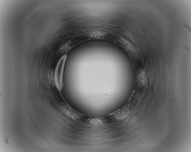 X0000097490572200802291435