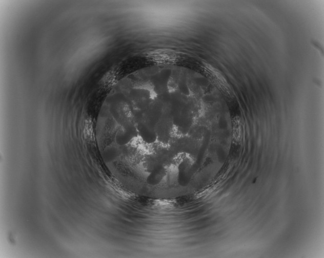 X0000097490573200802291435