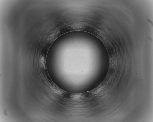 X0000097490575200802291435