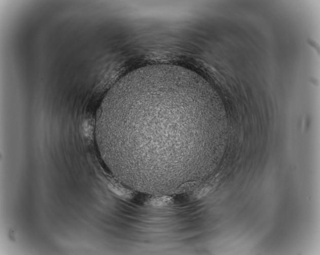 X0000097490576200802291435