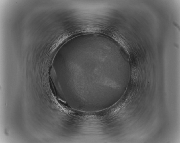 X0000097490577200802291434