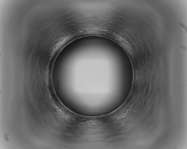 X0000097490578200802291434