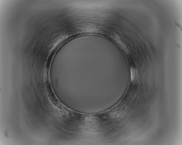 X0000097490579200802291434