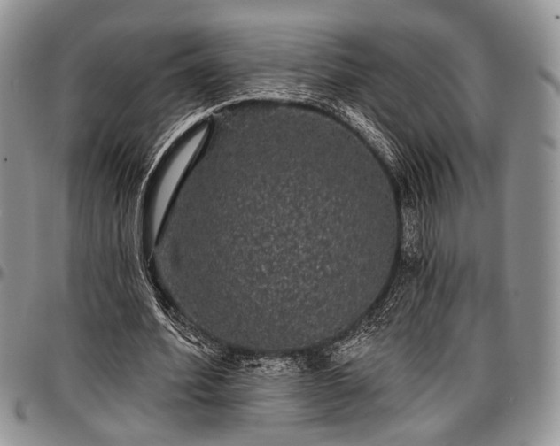 X0000097490580200802291434