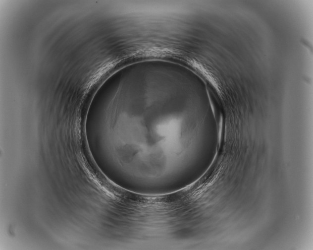 X0000097490581200802291434