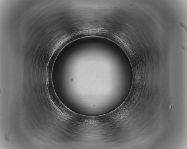 X0000097490582200802291434