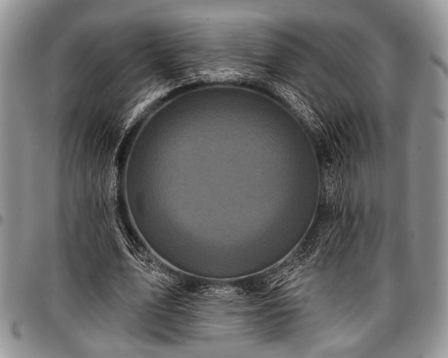 X0000097490583200802291434