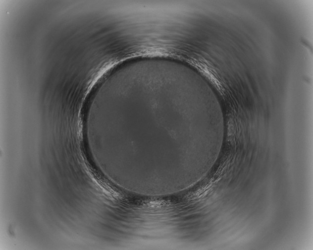 X0000097490584200802291434