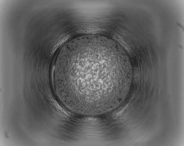 X0000097490585200802291434