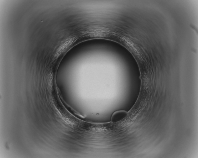 X0000097490586200802291434