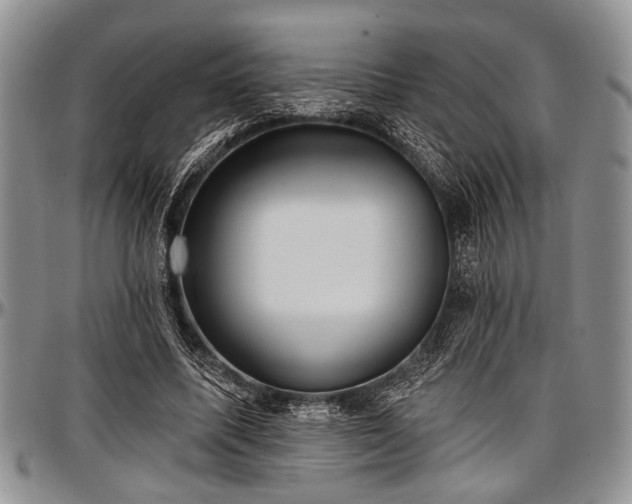 X0000097490587200802291434