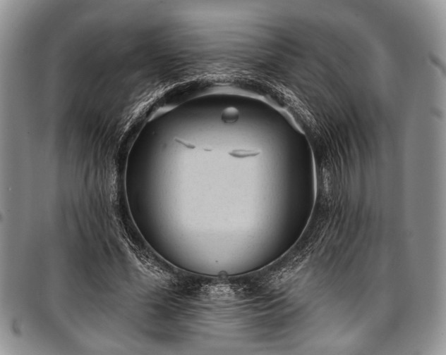 X0000097490588200802291434