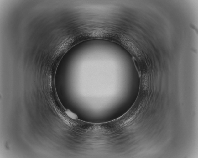 X0000097490589200802291434