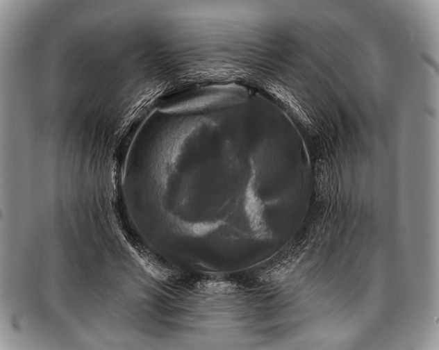 X0000097490590200802291434