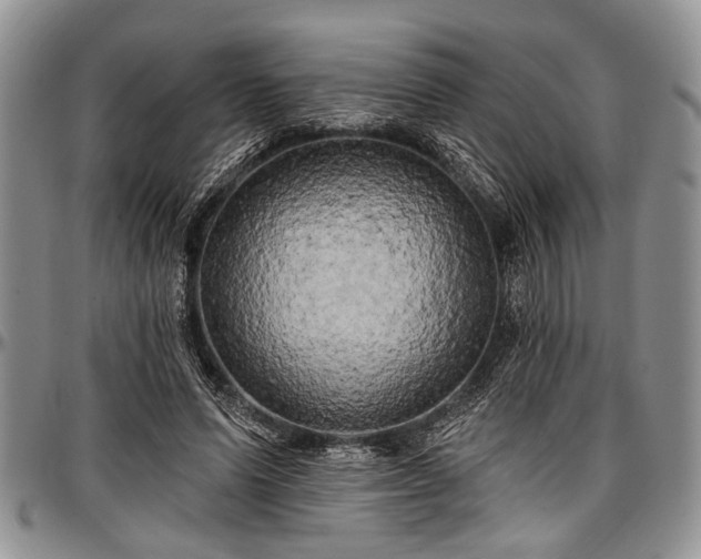 X0000097490591200802291434