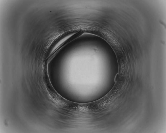 X0000097490592200802291434