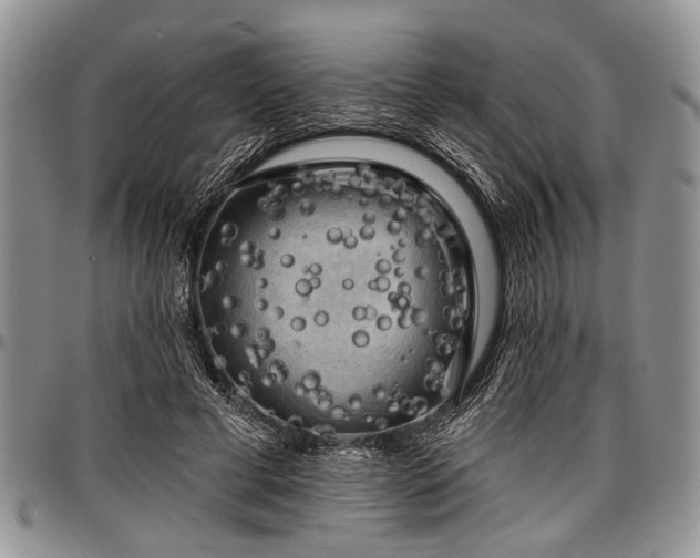 X0000097490593200802291434