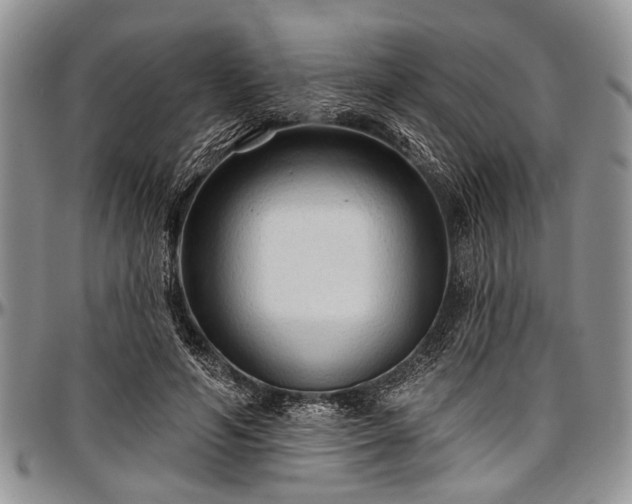 X0000097490594200802291434