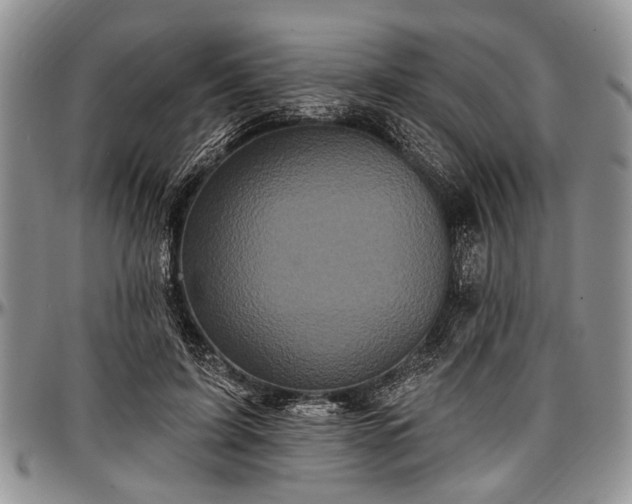 X0000097490595200802291434