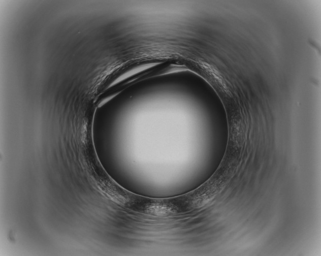 X0000097490596200802291434