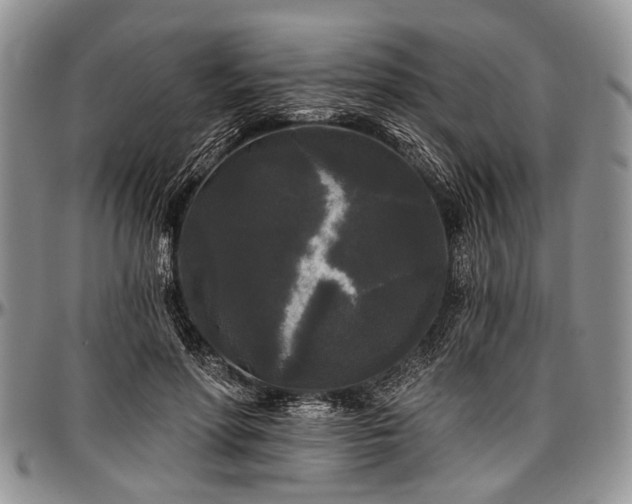 X0000097490598200802291434