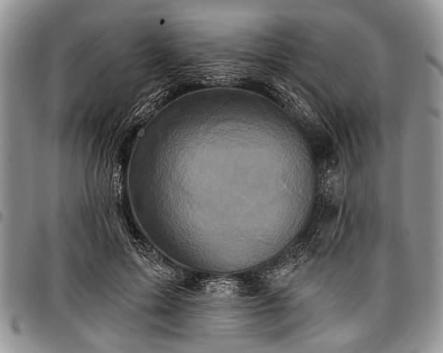 X0000097490599200802291434