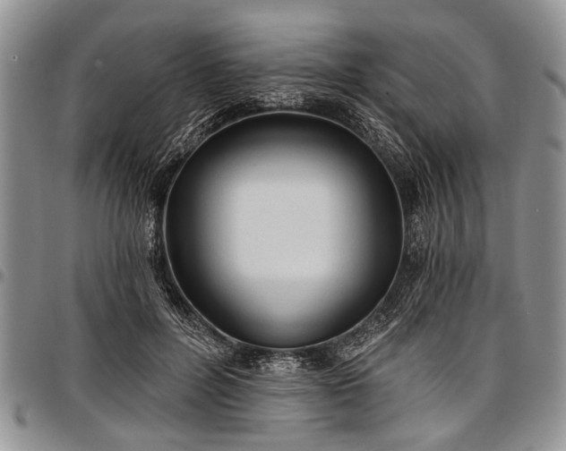 X0000097490600200802291434