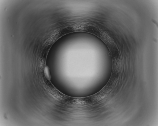 X0000097490601200802291434