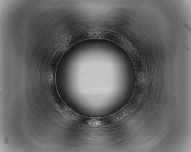 X0000097490602200802291434