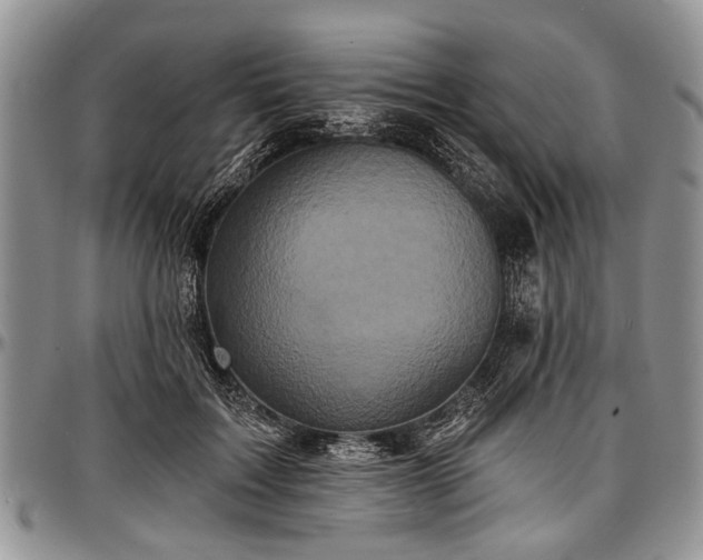 X0000097490603200802291434