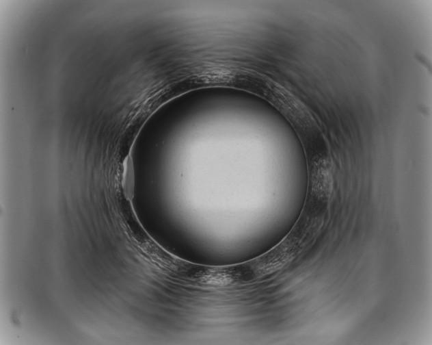 X0000097490604200802291434