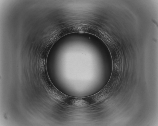 X0000097490605200802291434