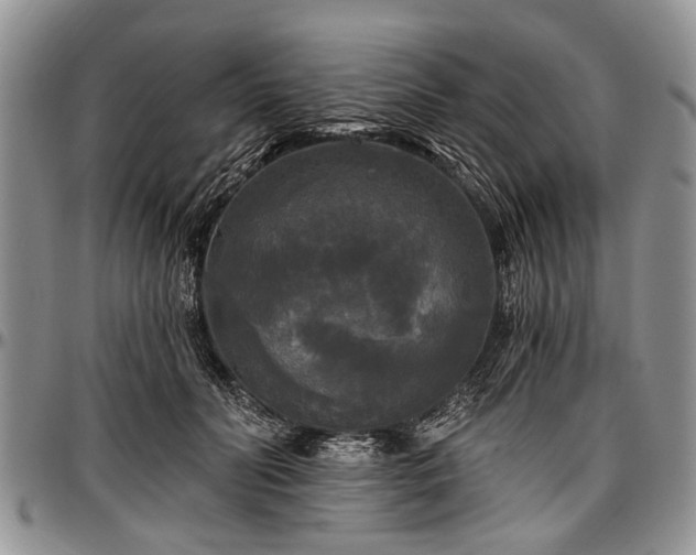 X0000097490606200802291434