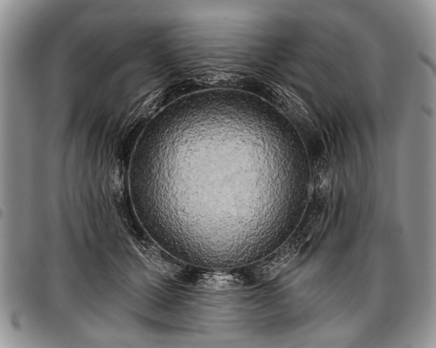 X0000097490607200802291434