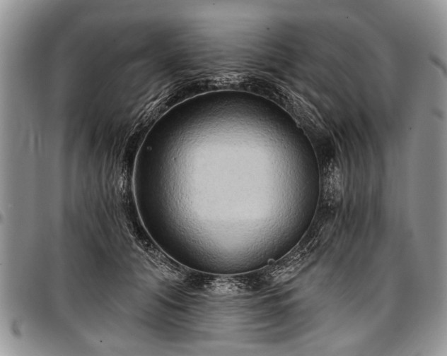 X0000097490608200802291434