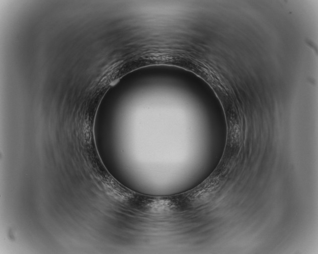 X0000097490609200802291434