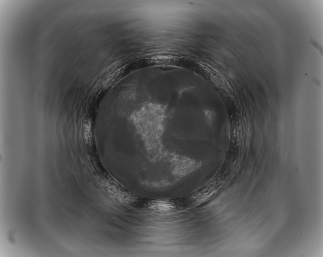 X0000097490610200802291434