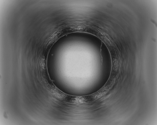 X0000097490612200802291434