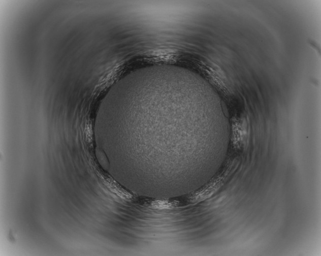 X0000097490613200802291434