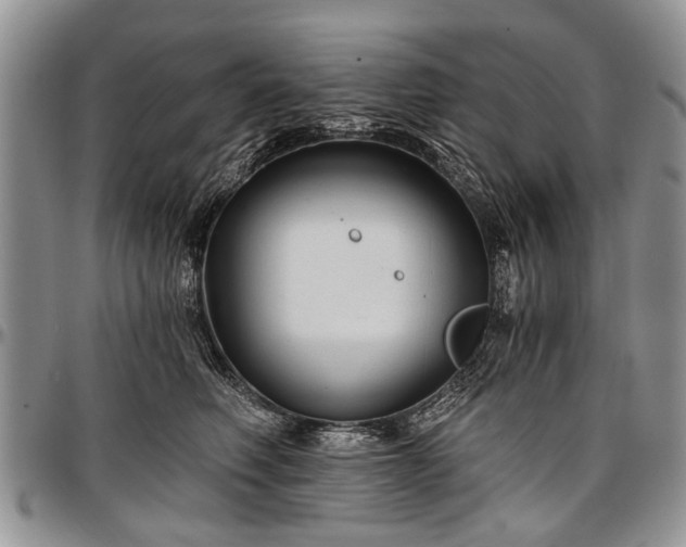 X0000097490614200802291434