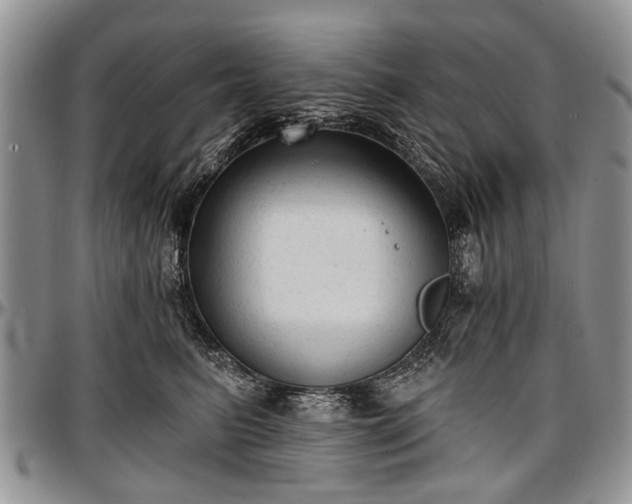 X0000097490615200802291434